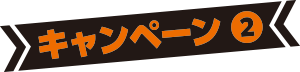 キャンペーン②